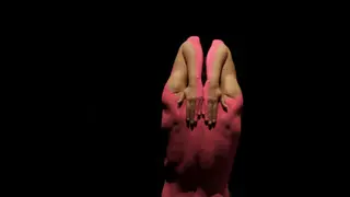 Hidebehind, de Josefa Pereira