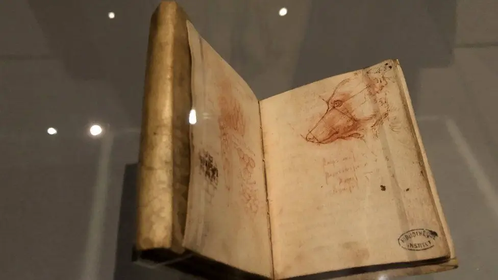 Detalhe de um Codex de Leonardo