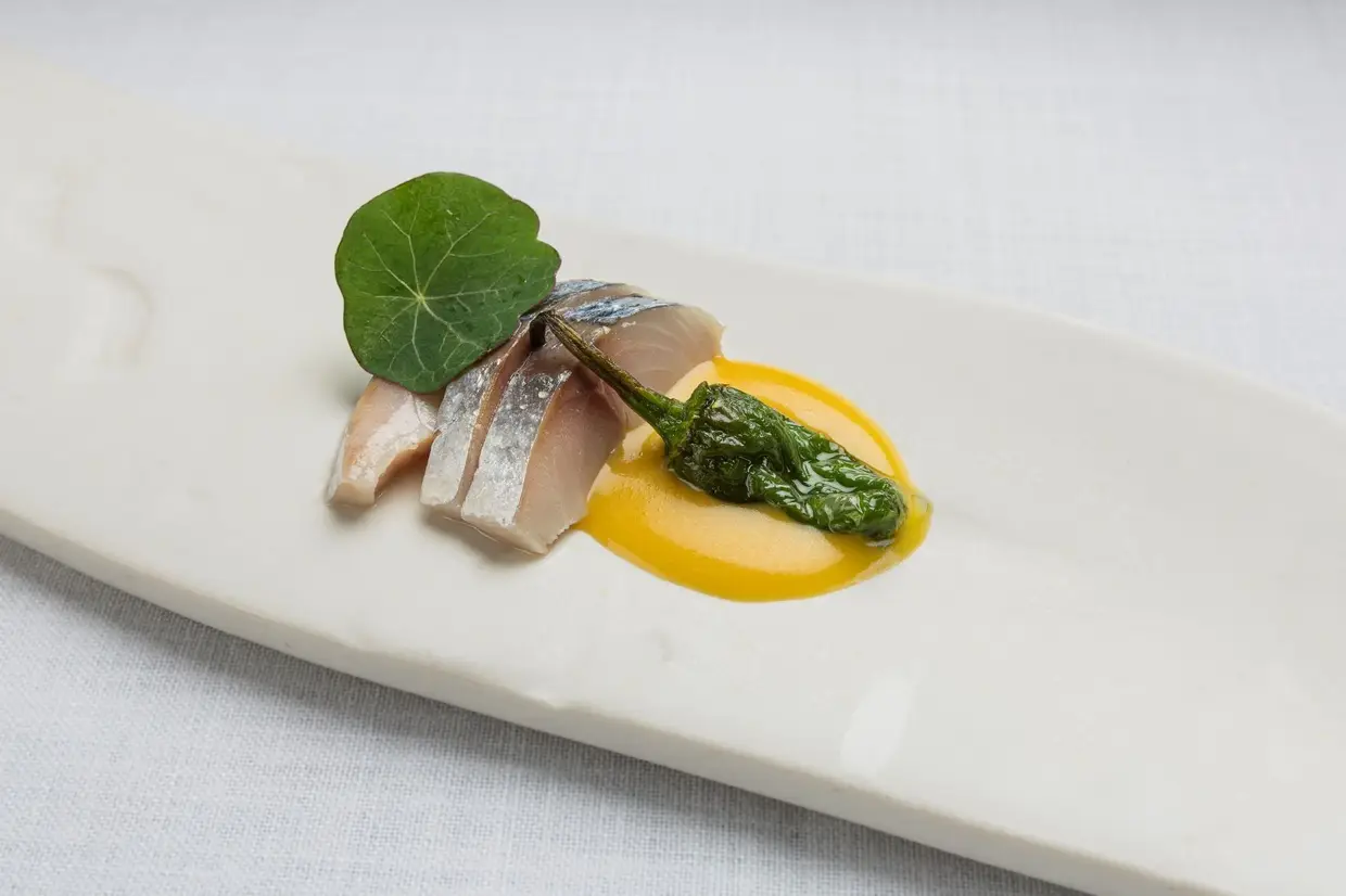 Peixe azul marinado, picles de pimento e salmoura anisada