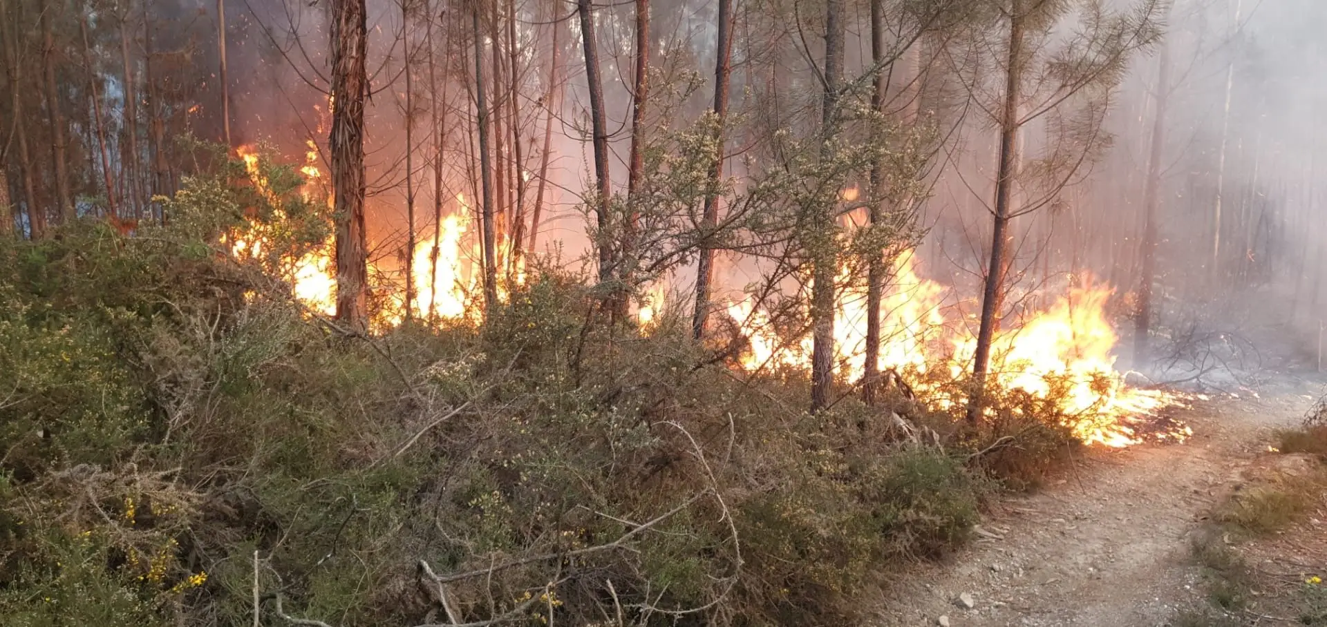 Três concelhos do Tâmega e Sousa com risco de incêndio ...