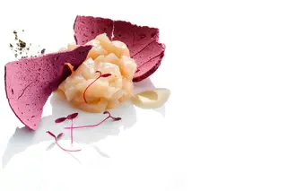 Gourmet Culinary Extravaganza: está pronto para o evento do ano?