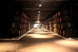 Vinho do Porto: Viajar no tempo por 8 caves espetaculares