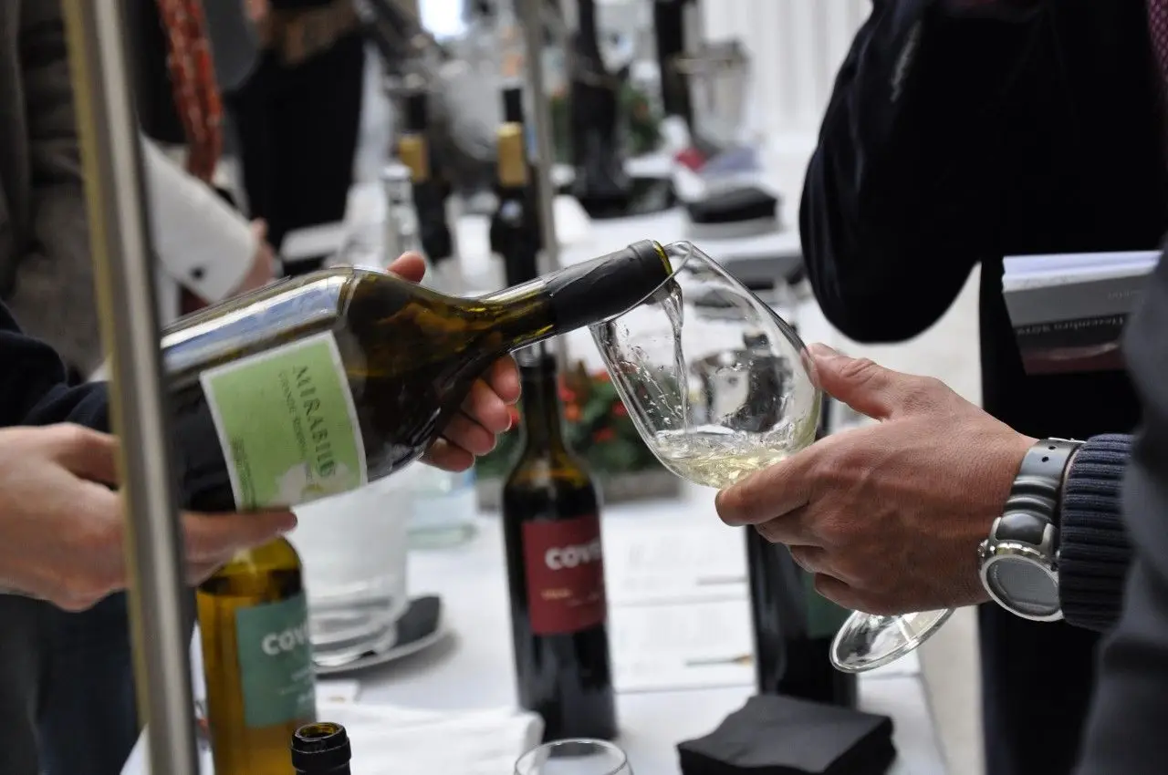 Christmas Wine Experience: Escolher os melhores vinhos e outras revelações de Natal