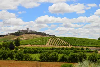 Concurso Vinhos de Portugal: Alentejo e Dão destacam-se em 2017