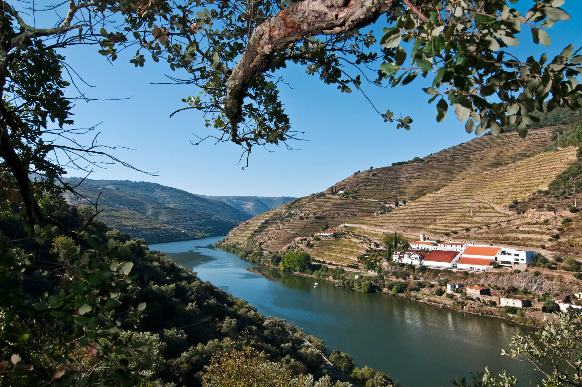 Refúgios no Douro: Verão entre vinhas e vinhos