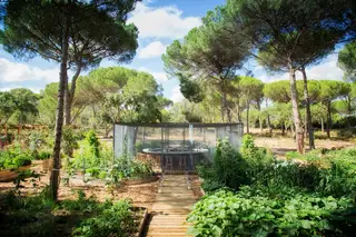 Food Club: A sublime dança do fogo de Ljubomir Stanisic na Comporta