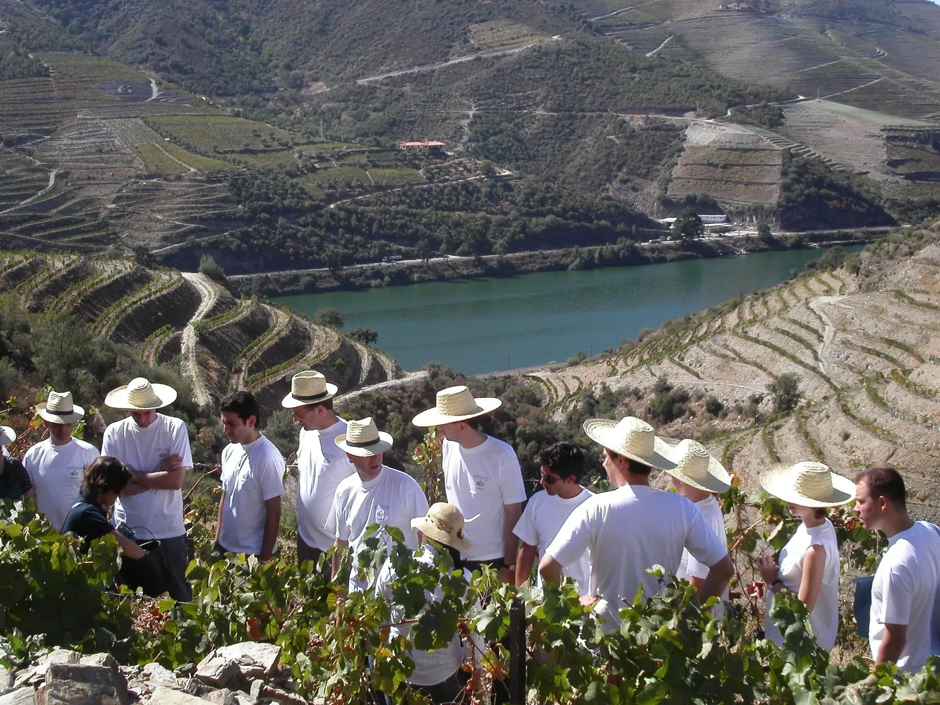 Vindimas: Dez restaurantes a não perder no Douro