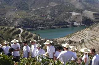 Vindimas: Dez restaurantes a não perder no Douro