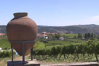 Casa das Pipas: Enoturismo com requinte no Douro