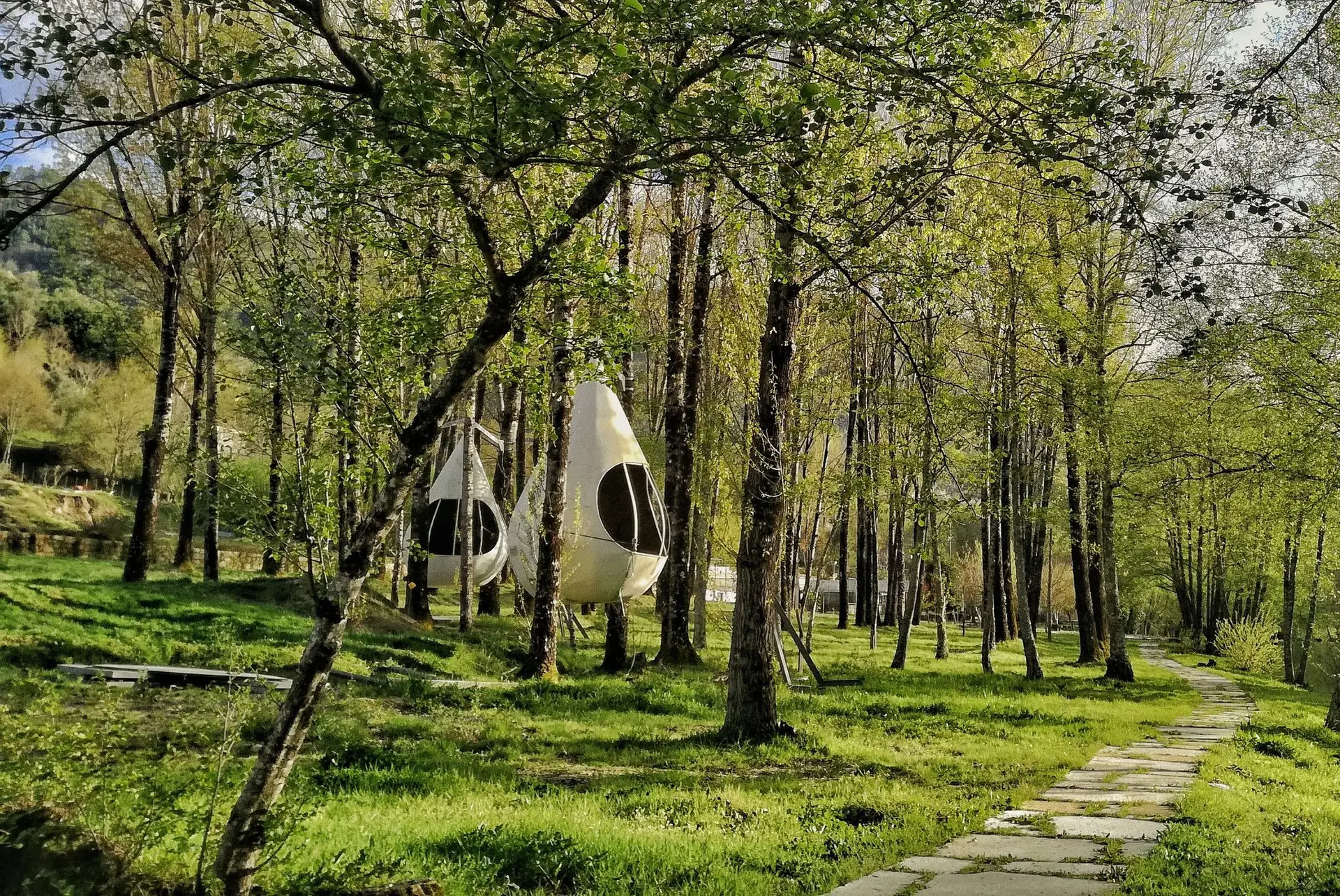 Boa Cama Boa Mesa na SIC Notícias: Celebrar o Centro de Portugal