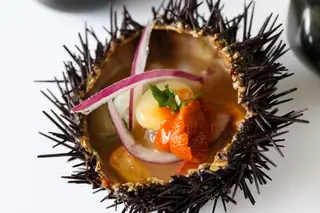 “O ouriço-do-mar é o nosso caviar”