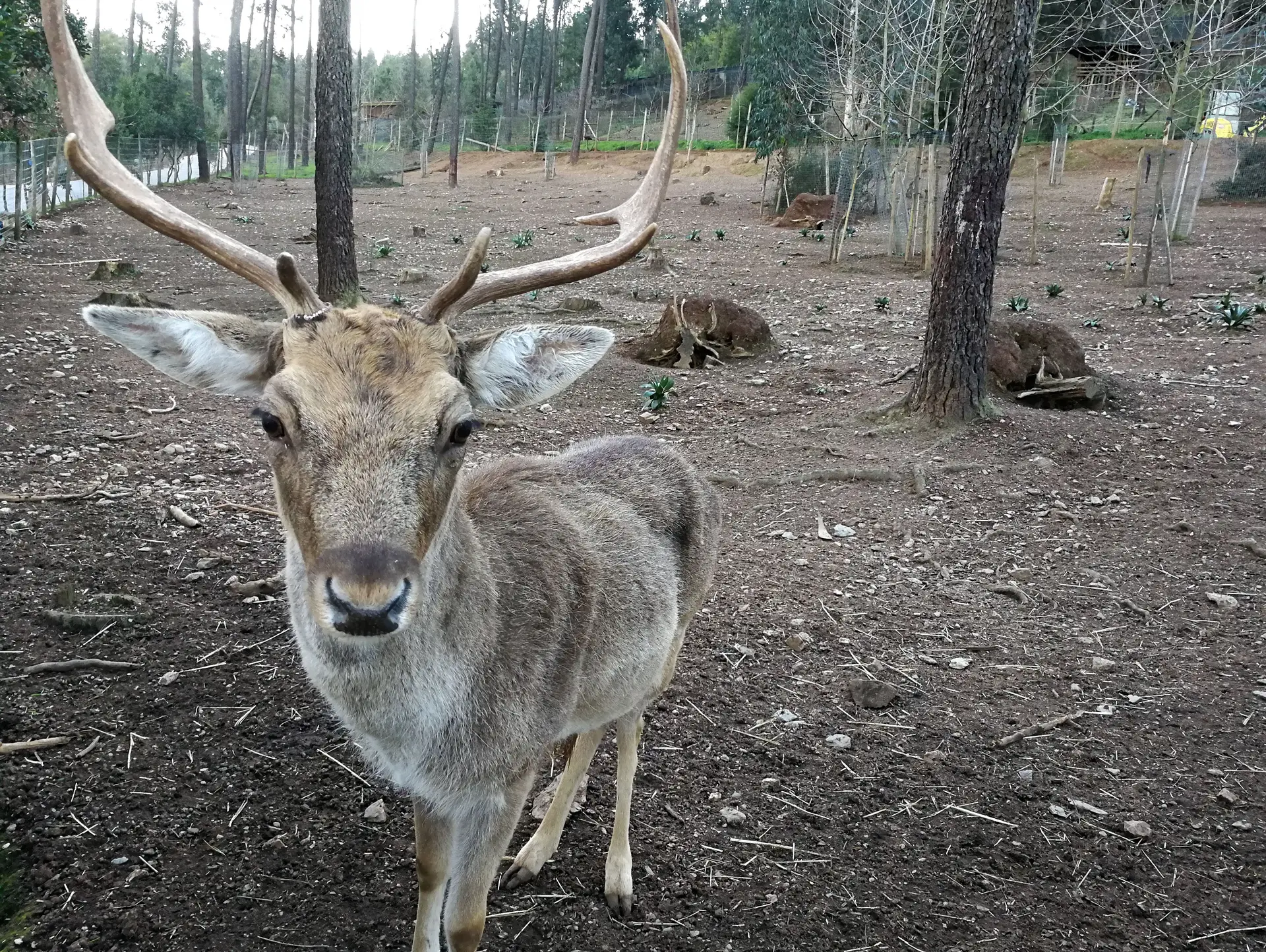 Boa Cama Boa Mesa na SIC Notícias: Xisto e natureza em Miranda do Corvo
