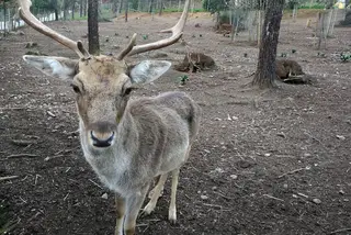 Boa Cama Boa Mesa na SIC Notícias: Xisto e natureza em Miranda do Corvo