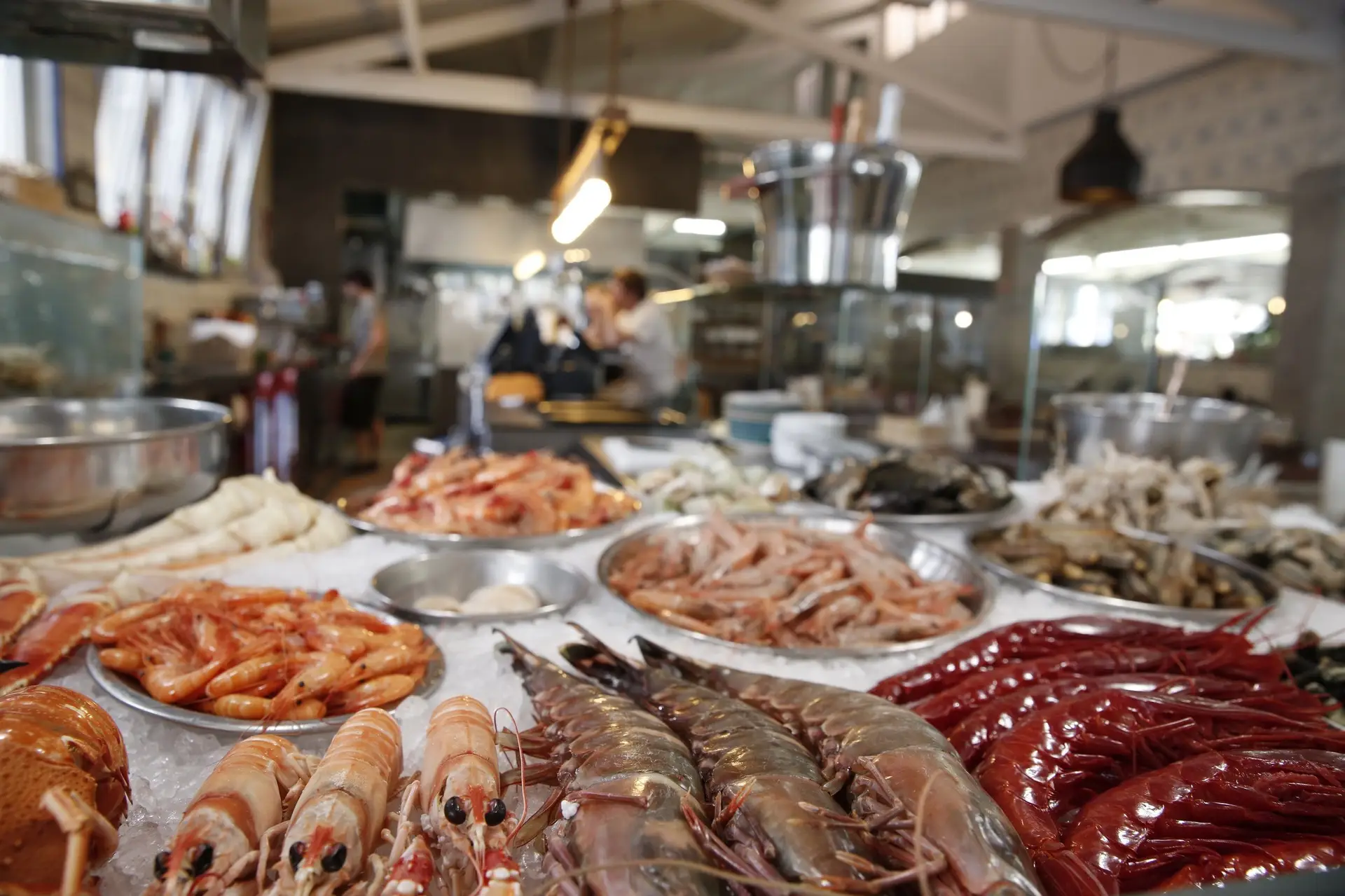 Marisco na Praça: Entre o mercado e a marina de Cascais