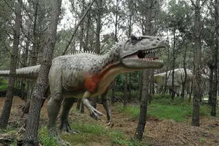 Boa Cama Boa Mesa na SIC Notícias: Na Lourinhã, entre dinossauros e aguardente