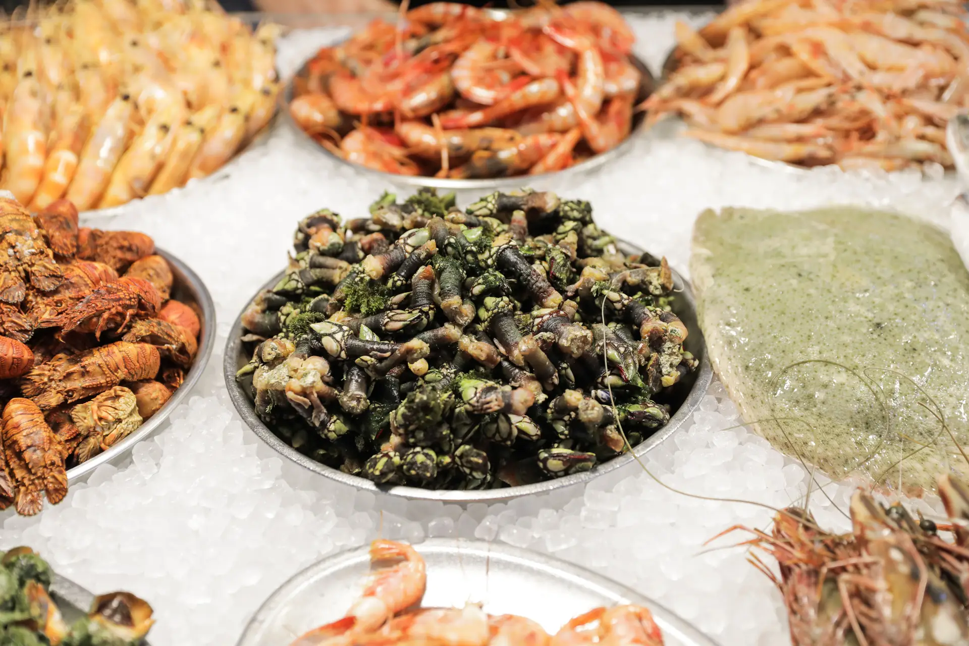 Algarve: a arte de mariscar em oito restaurantes