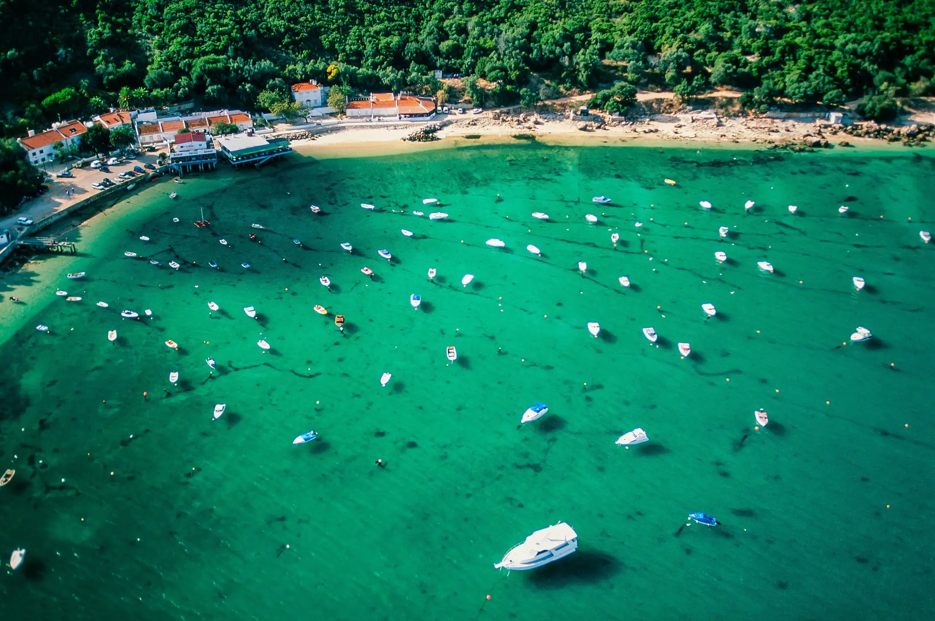 Amaral’s Trilogy: Vinho, gastronomia e natureza na Arrábida