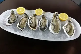 Monte Mar Lisboa: O Tejo, a esplanada, um bar de ostras e muito mais...