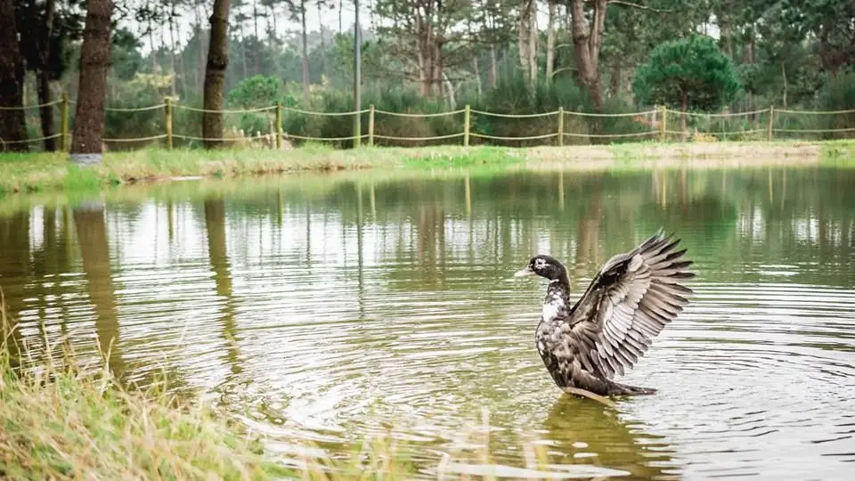 Passeio em família: Mil aromas no Parque Ambiental do Buçaquinho