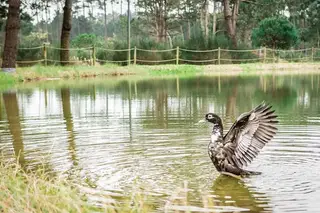 Passeio em família: Mil aromas no Parque Ambiental do Buçaquinho