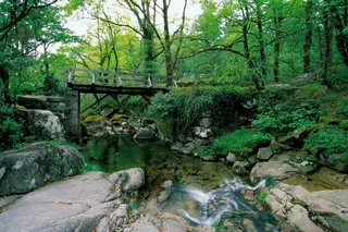 Gerês: 10 alojamentos para sentir a magia da serra