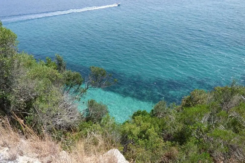 Parque Marinho Luiz Saldanha: "hot spot" de biodiversidade na Arrábida