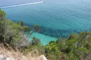 Parque Marinho Luiz Saldanha: "hot spot" de biodiversidade na Arrábida