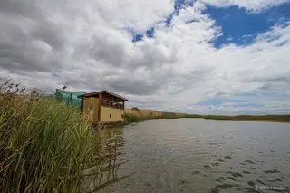 Passeio Verde: EVOA, a Lezíria ao ritmo das aves e das marés