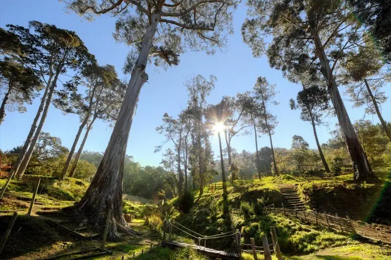 Passeio em Família: Recuperar a ligação à natureza em Sintra