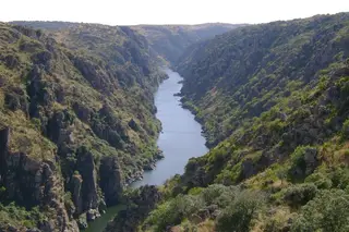 Passeio verde: Pura beleza natural no Douro Internacional e Vinhateiro