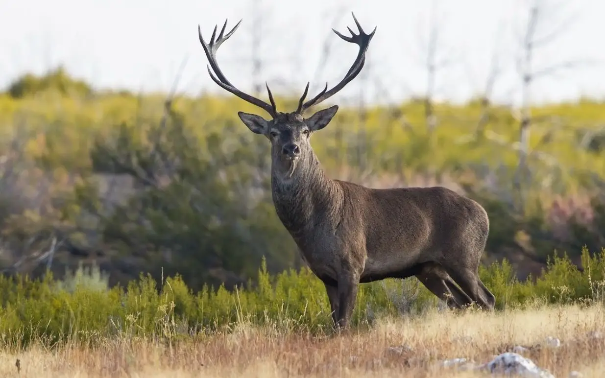 Passeio Verde: Pelos trilhos do Parque Natural de Montesinho
