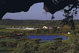 Herdade do Sobroso, ponto de encontro perfeito entre a vinha, a serra e o Alqueva