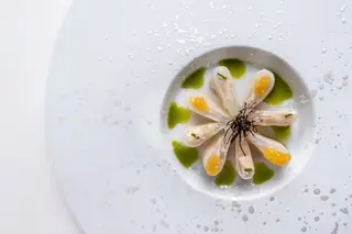 Stars, Food & Wine: constelação no Vistas e a ascenção de Rui Silvestre