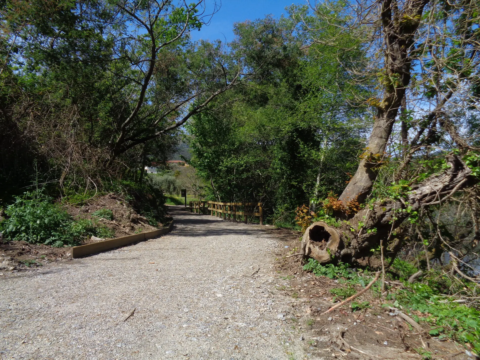 Passeio Verde: À descoberta do novo percurso da Ecovia das Laranjas