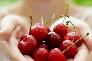 É tempo de cerejas: Altos voos entre as mesas e os céus do Fundão