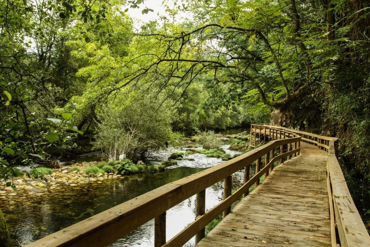 "Alto Minho, segredos da serra d’Arga"