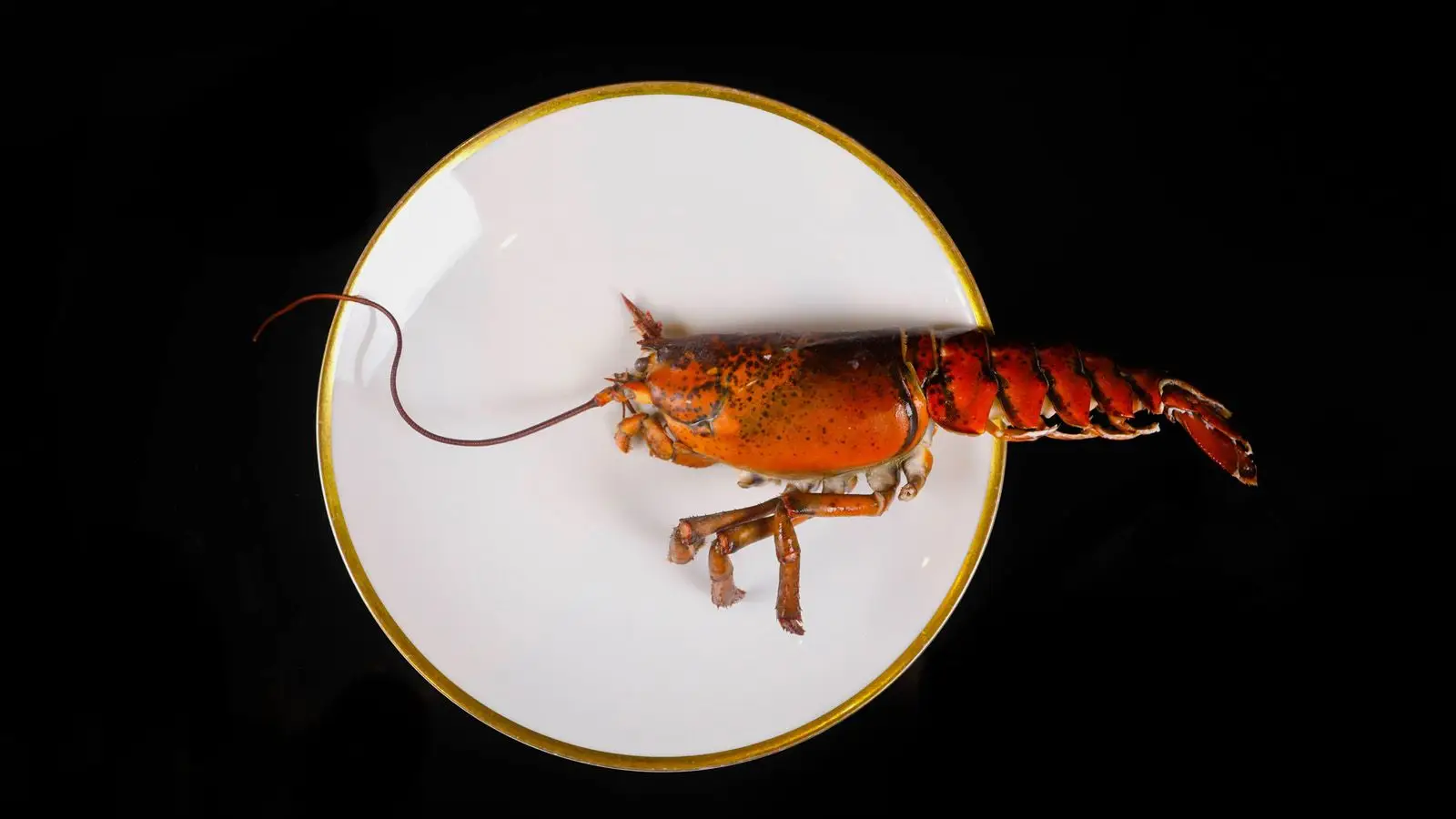 Mariscar na cidade: 10 restaurantes a não perder!