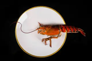 Mariscar na cidade: 10 restaurantes a não perder!