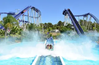 Splash! Mergulhos radicais nos mais divertidos parques aquáticos