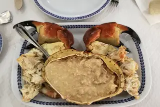 Pecado da gula! Festival em Santa Cruz serve sapateira à discrição!