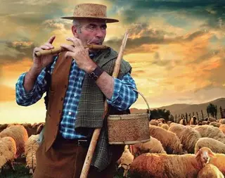 Passeio em Família: Ao som de chocalhos no Festival dos Caminhos da Transumância