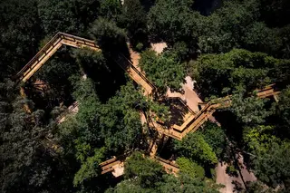 Passeio em Família: festejar o outono em Serralves