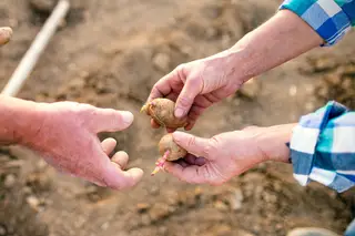 Festival da Comida Esquecida: Recuperar o passado gastronómico do Algarve