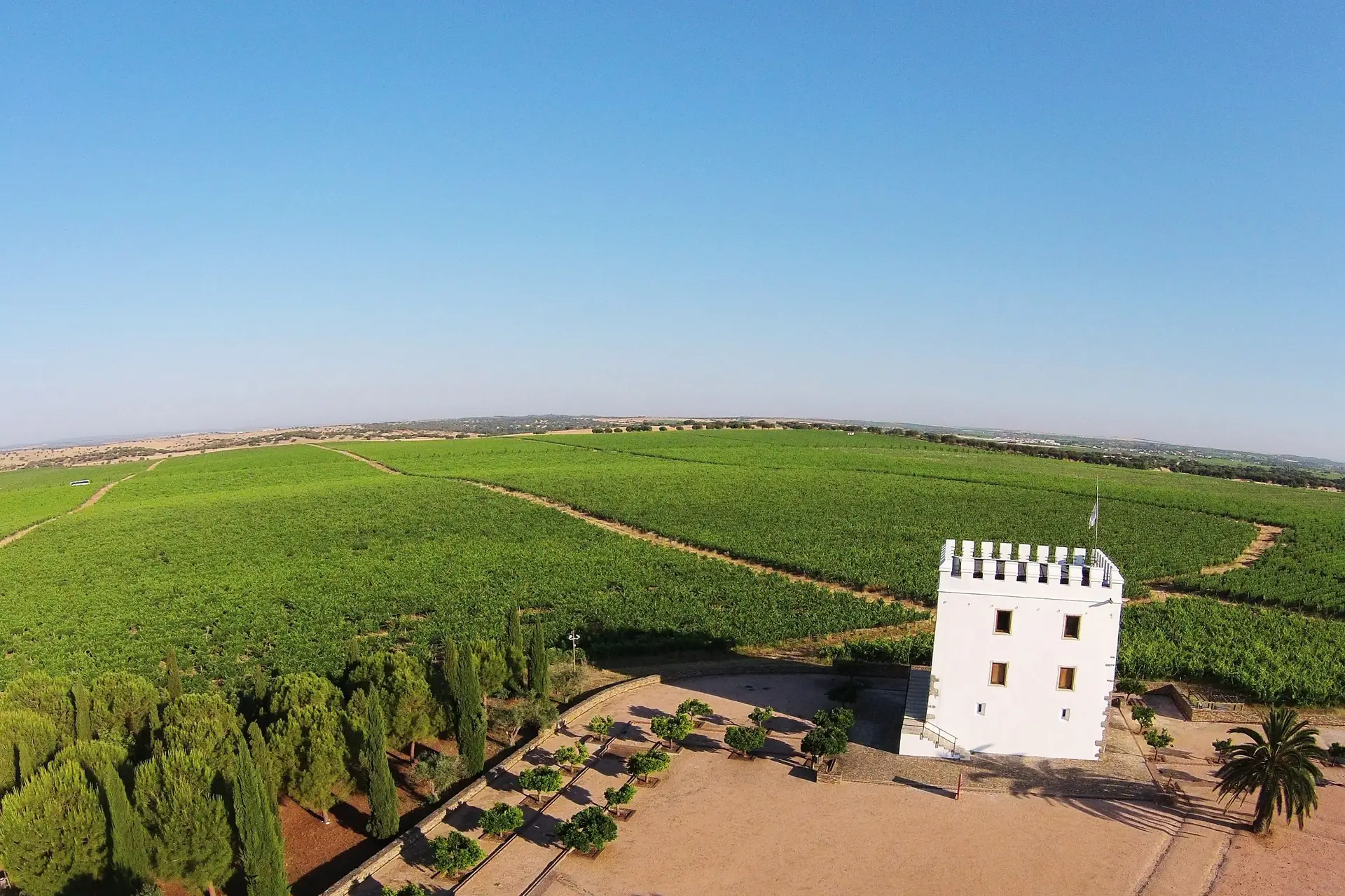 Boa Cama Boa Mesa na SIC Notícias: Em passeio por Reguengos de Monsaraz