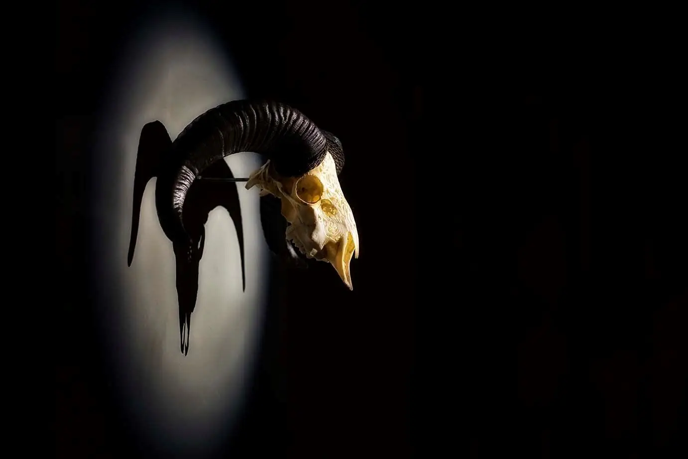 Um japonês, um austríaco e um bósnio entram na cozinha e... há festa no 100 Maneiras