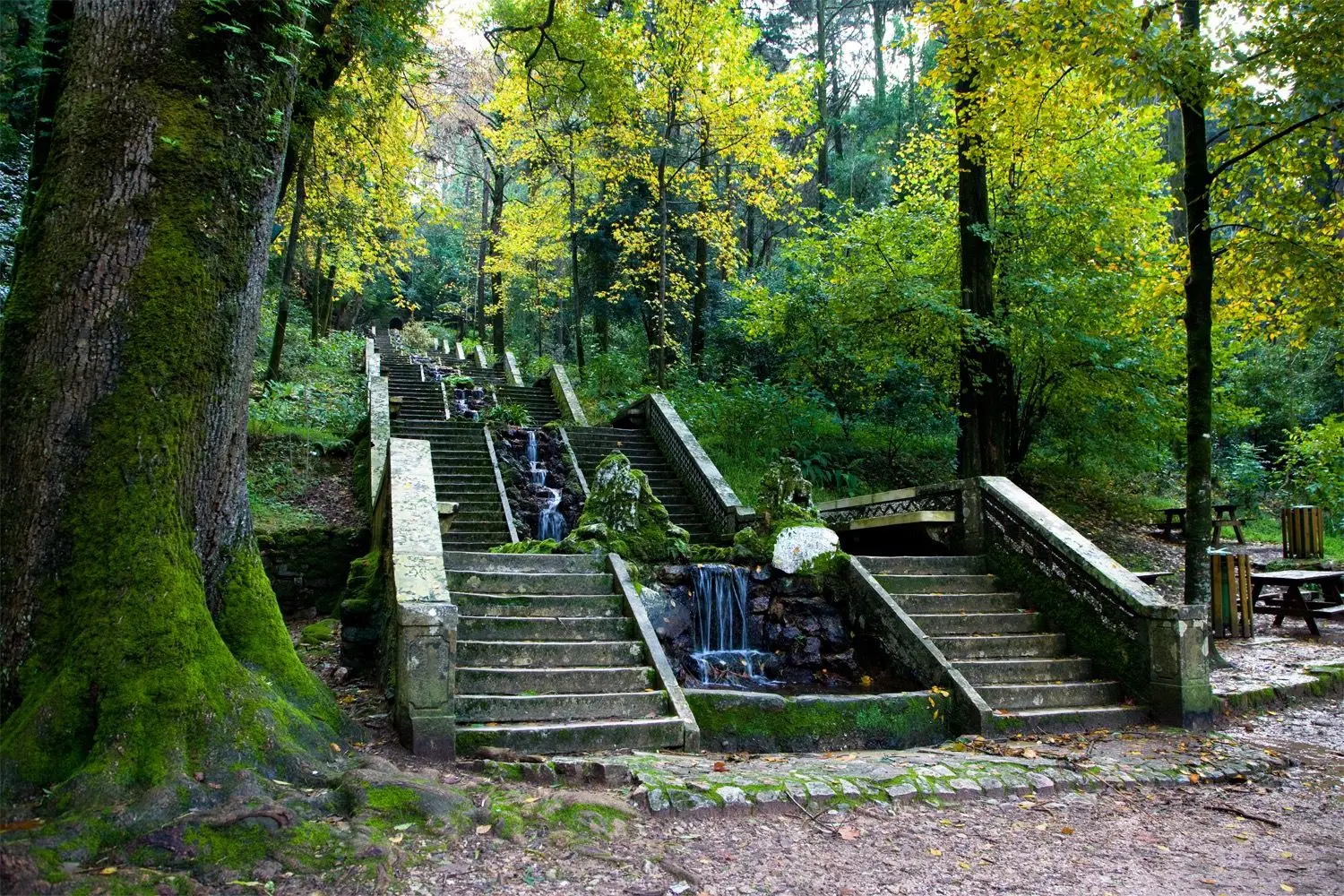 Passeio Verde: Caminhar pelo património no Bussaco