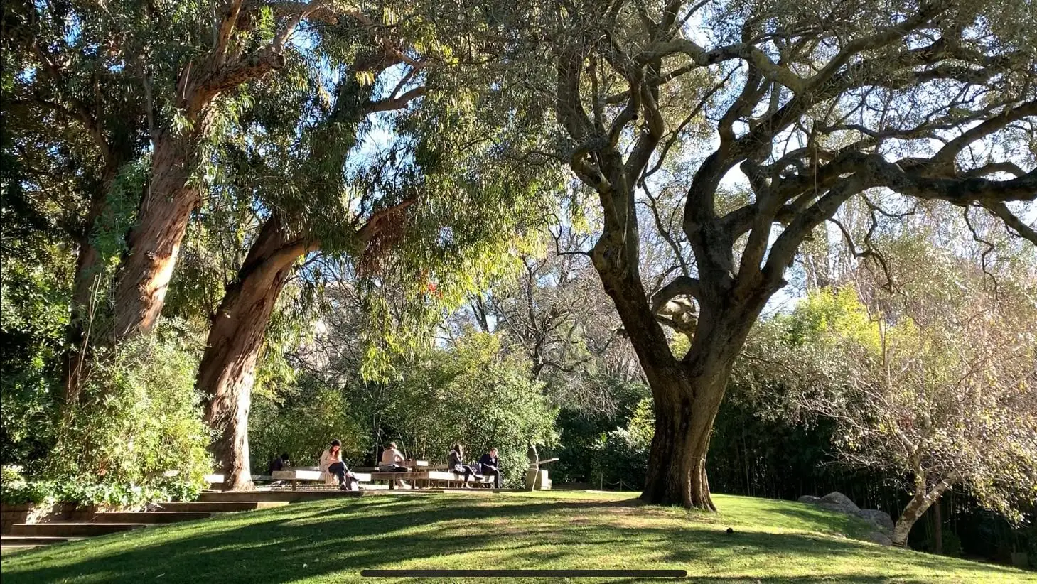 Boa Cama Boa Mesa na SIC Notícias: Por Lisboa, Capital Verde Europeia 2020