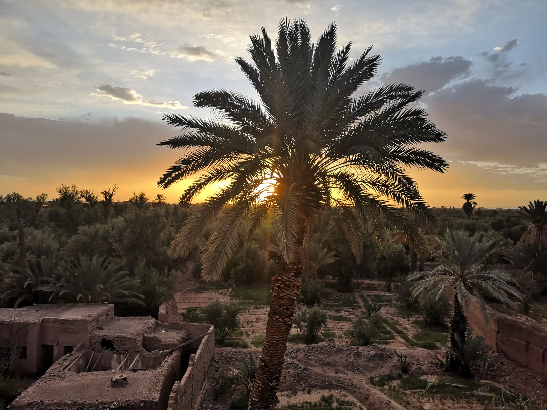 Livros de viagens: um destino para cada dia da semana