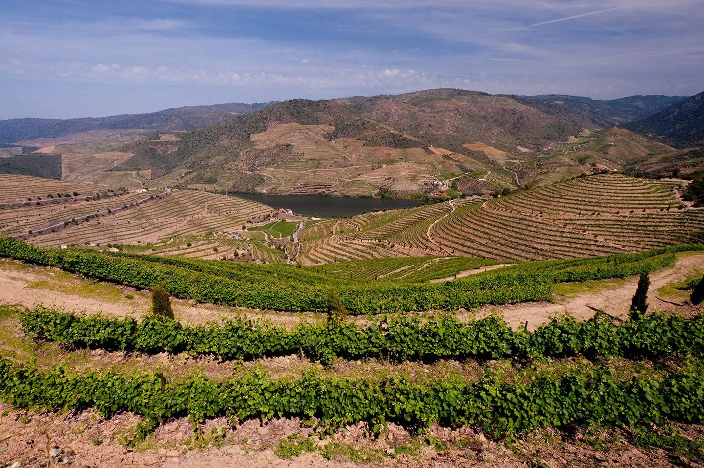 À distância se faz (mais uma) história: Portos Vintage da Symington lançados em iniciativa digital inédita