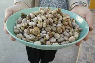 Acabou a espera. Está aberta a época dos caracóis!